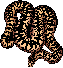 Illustration of adder