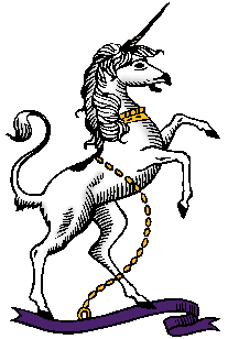 Illustration of unicorn